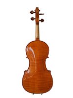Violina 2 pozadina